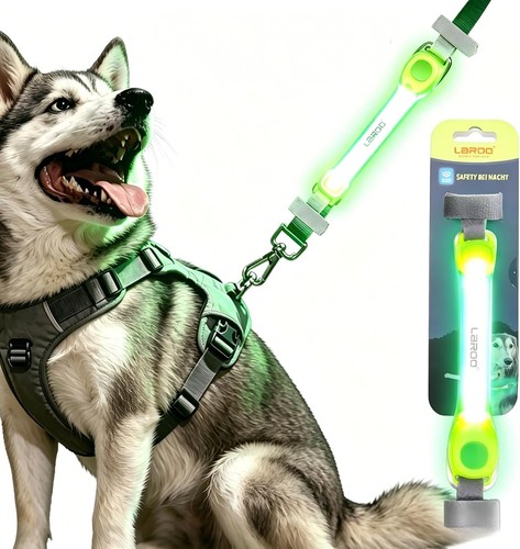 Hunde katzen led - hunde,