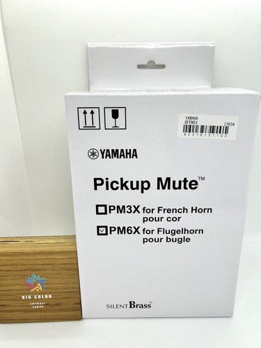 Yamaha silent brass - pm-6x,