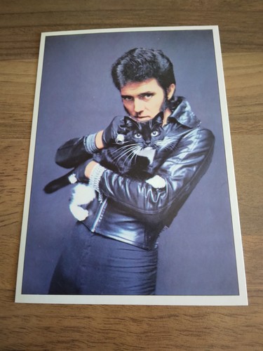 Panini pop stars 70er - pop,