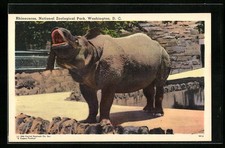 Washington, Rufendes Rhinozeros im National Zoological Park, Ansichtskarte 