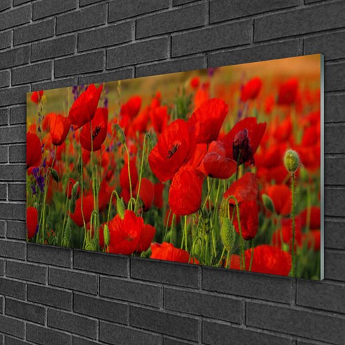 Glasbilder 100x50 wandbild - 100x50,