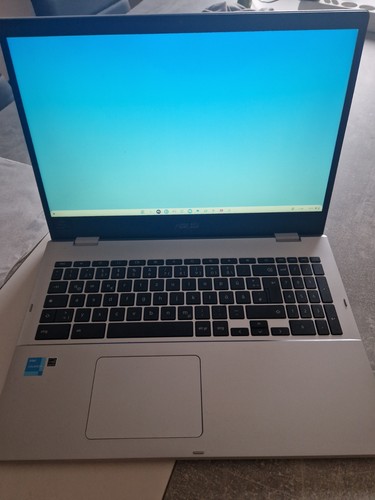 Asus chromebook - asus,