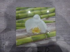 Glasbild 20x20cm Blüte/Blume