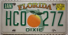 Florida Nummernschild USA