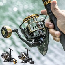 Angelrolle Spinn Karpfen