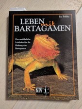 Leben mit Bartagamen - Liz