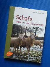 Schafe in Koppel- und