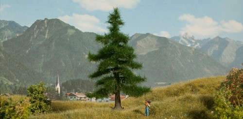 Noch 21810 nordmanntanne n - noch,