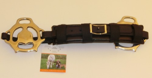 Barock hackamore piccolo - hackamore,