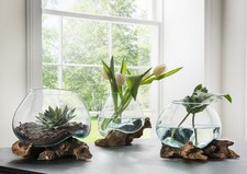 Deko-Wurzel mit Glasvase 13cm