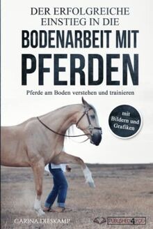 Der erfolgreiche einstieg - erfolgreiche, in