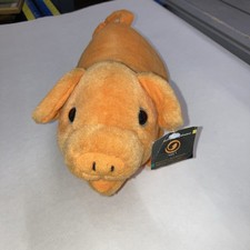 Schwein gehabt  Fernsehen