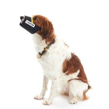 Buster Easy-ID Nylon Maulkorb