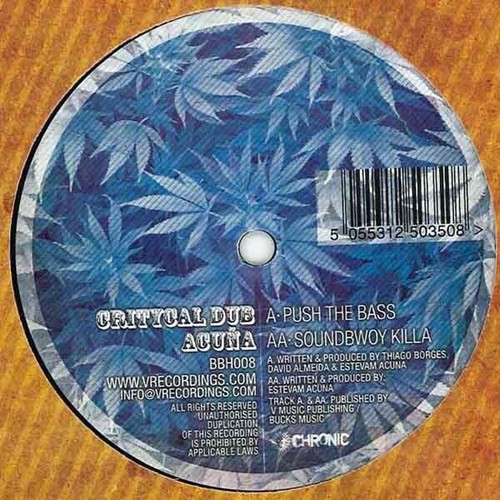 Critycal dub push the bass - critycal, –