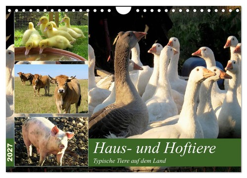 Haus und hoftiere - haus-,
