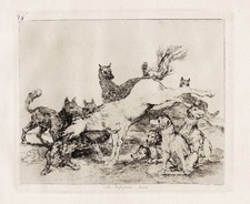 Francisco de Goya - Plate 78