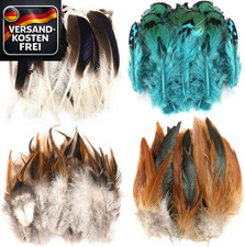 4 Stil Federn Basteln Natur