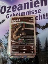Netto Ozeanien 11, Glitzerkarte, NR. 009  Waschbär 