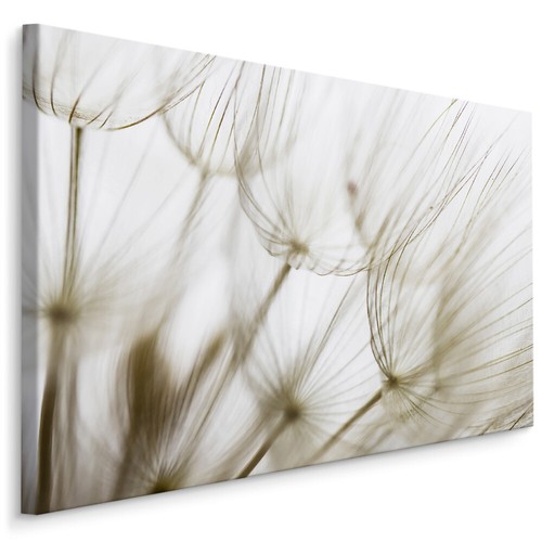 Canvas leinwand bilder xxl - canvas,