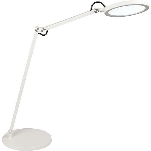 Fabas luce - fabas,