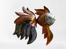 Fisch rot medusa - medusa, angler