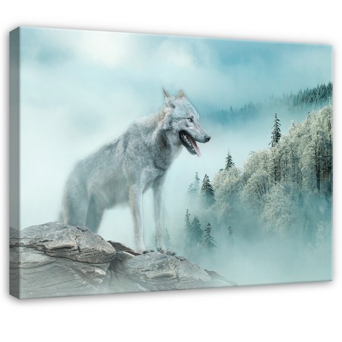Leinwand natur landschaft wolf - natur,