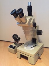 Stereo-Zoom-Mikroskop SZM45-ST1P (Trinokular) von Bonnscope