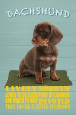 Holzschild 18x12 cm Dachshund
