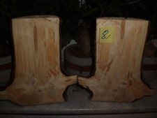 Holzscheiben,Nr.8 Stamm