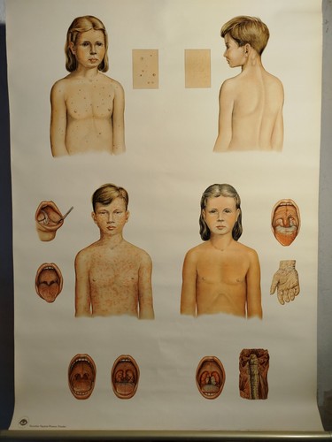 Schulwandkarte ddr rollkarte - schulwandkarte,