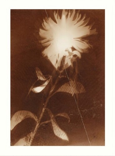 László moholy nagy druck - lászló, moholy-nagy