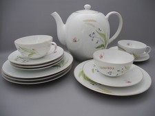 Arzberg Restgeschirr 1495