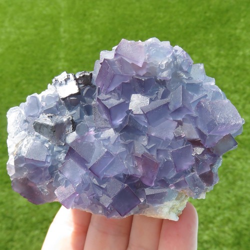 Fluorit blau violett - fluorit, blau/violett