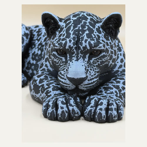 Schwarzer jaguar ruhende - schwarzer,