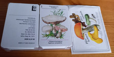 Pilze kennen Pilze sammeln DDR Kartenspiel Pilzführer