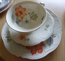 Konvolut Sammeltassen Gedeck