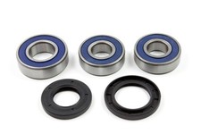 Radlager Satz 25-1256 hinten