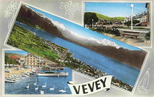 Vevey panorama ortspartie - vevey,