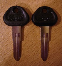 2 Schlüsselrohlinge /