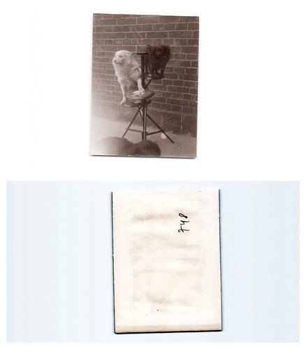 Danzig 1903 - ,