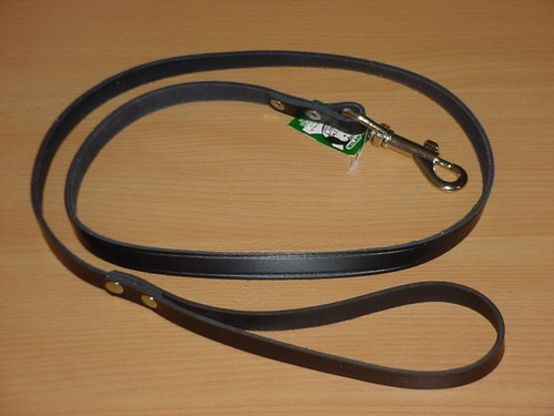 Hundeleine aus echtem - , leder