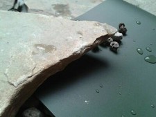 SIKA Premium PVC Teichfolie 1mm Oliv 8,78€/m² für Gartenteich Fischteich Bach