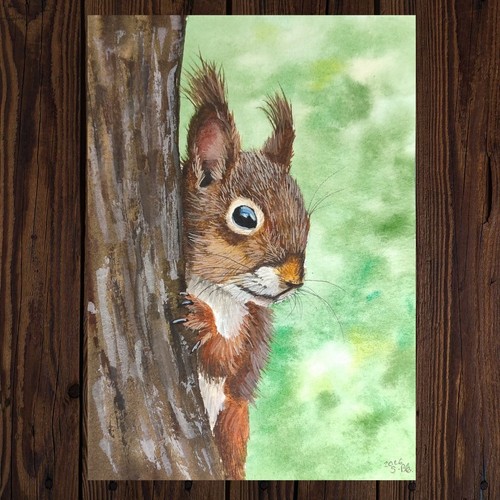 Eichhörnchen aquarellbild - a6,