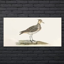 Malerei tier vogel - tier, kunst