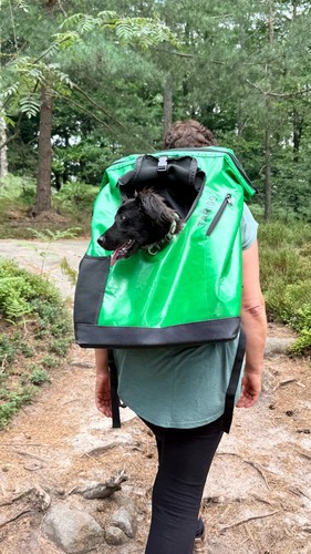 Hunderucksack targis - hunderucksack,