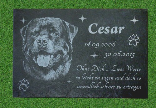 Rottweiler tiergrabstein - rottweiler,