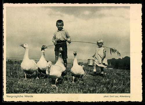 Kinderpaar mit gänsen - ak,
