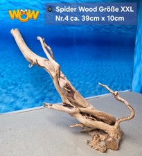 👋XXL Moorkien - Spiderwood