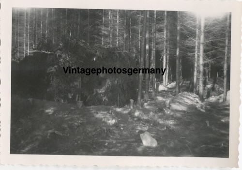 Z7264 foto einmarsch - foto,