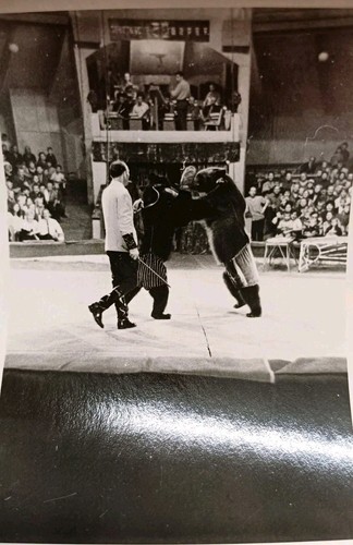 Zirkus gastspiel leipzig - zirkus,